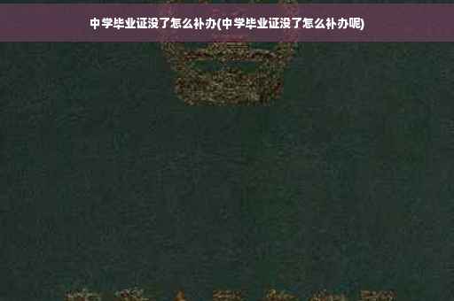 中学毕业证没了怎么补办(中学毕业证没了怎么补办呢)