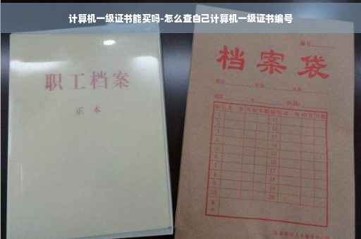 计算机一级证书能买吗-怎么查自己计算机一级证书编号