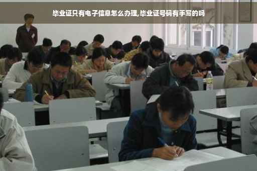毕业证只有电子信息怎么办理,毕业证号码有手写的吗