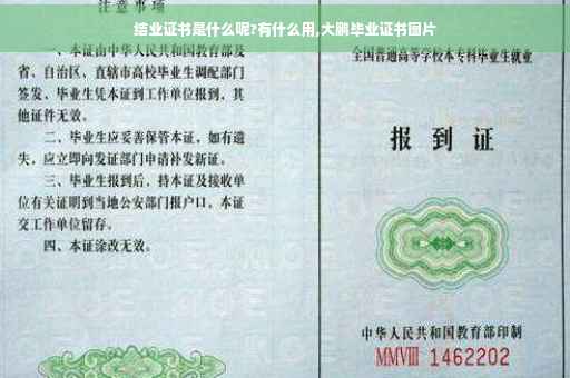 结业证书是什么呢?有什么用,大鹏毕业证书图片