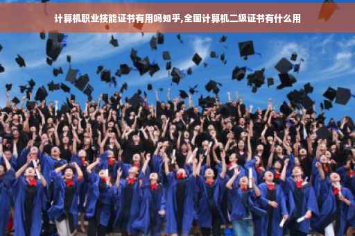 计算机职业技能证书有用吗知乎,全国计算机二级证书有什么用