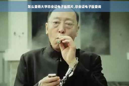 怎么查看大学毕业证电子版照片,毕业证电子版查询