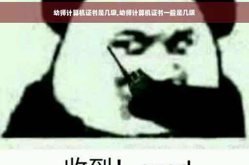 幼师计算机证书是几级,幼师计算机证书一般是几级