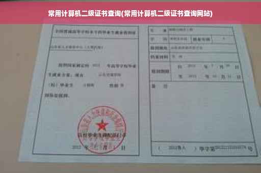 常用计算机二级证书查询(常用计算机二级证书查询网站)