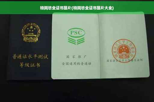 特岗毕业证书图片(特岗毕业证书图片大全)