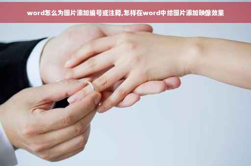 word怎么为图片添加编号或注释,怎样在word中给图片添加映像效果