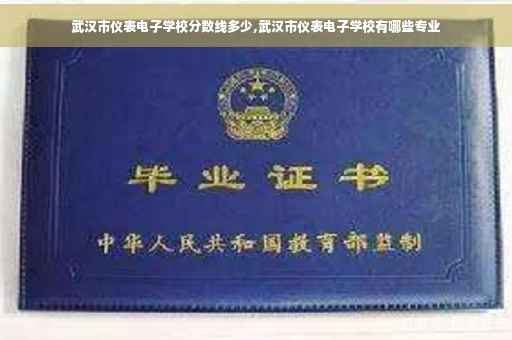 武汉市仪表电子学校分数线多少,武汉市仪表电子学校有哪些专业