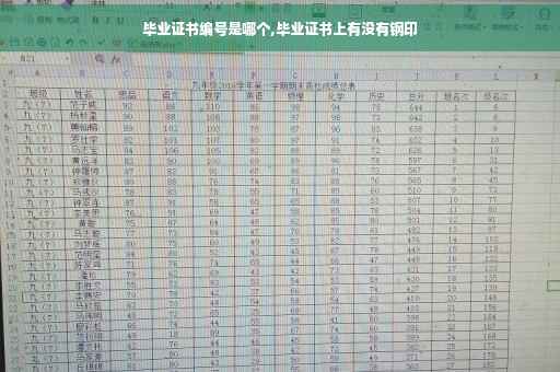 毕业证书编号是哪个,毕业证书上有没有钢印