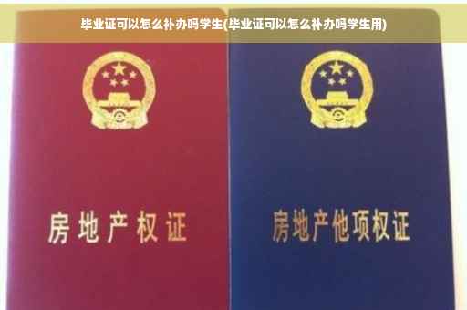毕业证可以怎么补办吗学生(毕业证可以怎么补办吗学生用)