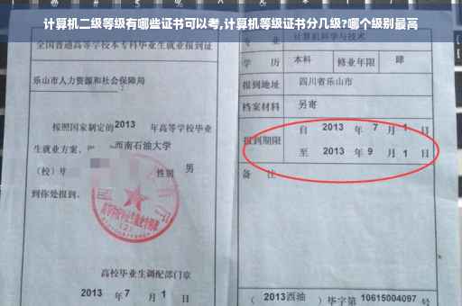 计算机二级等级有哪些证书可以考,计算机等级证书分几级?哪个级别最高