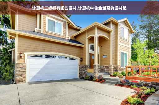 计算机二级都有哪些证书,计算机中含金量高的证书是