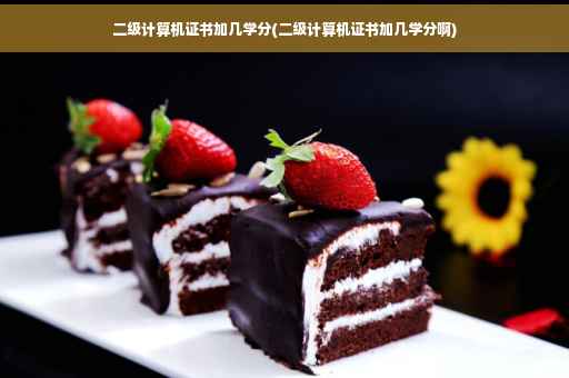 二级计算机证书加几学分(二级计算机证书加几学分啊)