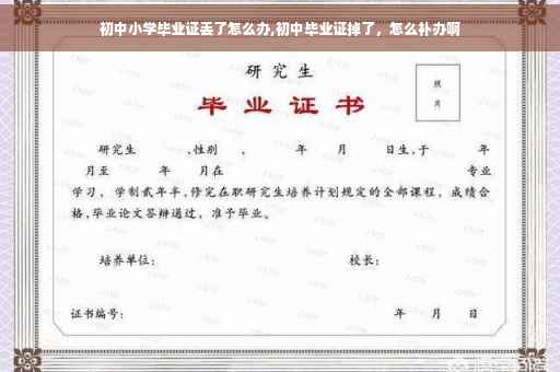 初中小学毕业证丢了怎么办,初中毕业证掉了，怎么补办啊