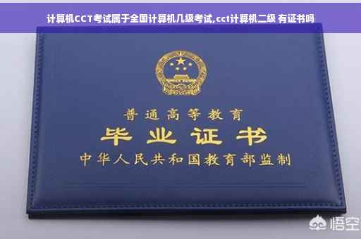 计算机CCT考试属于全国计算机几级考试,cct计算机二级 有证书吗