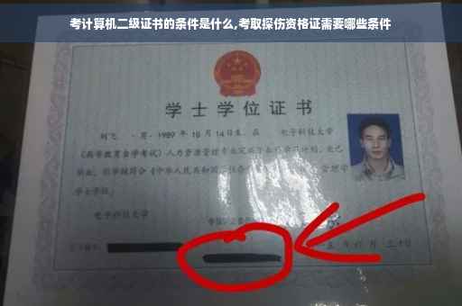 考计算机二级证书的条件是什么,考取探伤资格证需要哪些条件