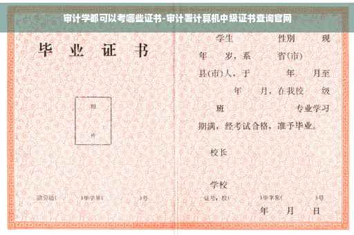 审计学都可以考哪些证书-审计署计算机中级证书查询官网