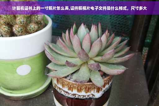 计算机证书上的一寸照片怎么弄,证件照相片电子文件是什么格式，尺寸多大