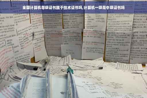 全国计算机等级证书属于技术证书吗,计算机一级是中级证书吗