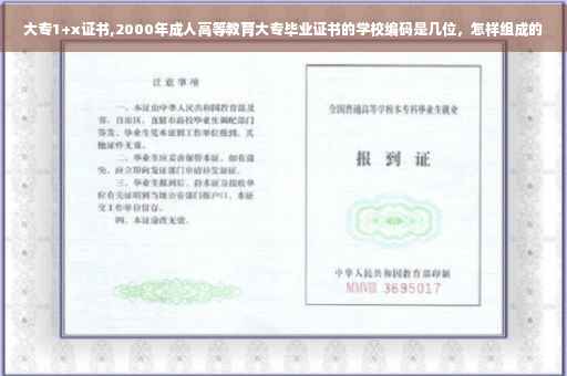 大专1+x证书,2000年成人高等教育大专毕业证书的学校编码是几位，怎样组成的