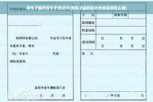 有电子版的初中毕业证吗(有电子版的初中毕业证吗怎么查)