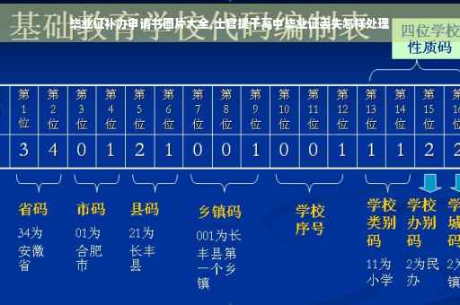 毕业证补办申请书图片大全,士官提干高中毕业证丢失怎样处理