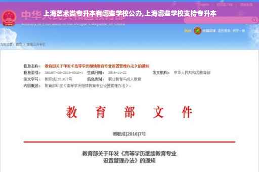 上海艺术类专升本有哪些学校公办,上海哪些学校支持专升本