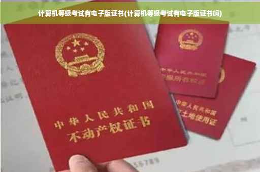 计算机等级考试有电子版证书(计算机等级考试有电子版证书吗)