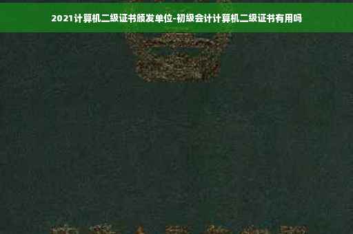 2021计算机二级证书颁发单位-初级会计计算机二级证书有用吗