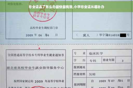 毕业证丢了怎么办最快最有效,小学毕业证从哪补办