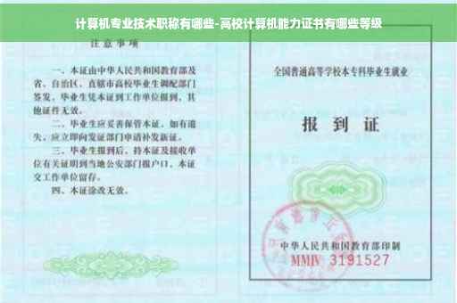 计算机专业技术职称有哪些-高校计算机能力证书有哪些等级