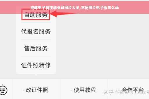 成都电子科技毕业证图片大全,学历照片电子版怎么弄