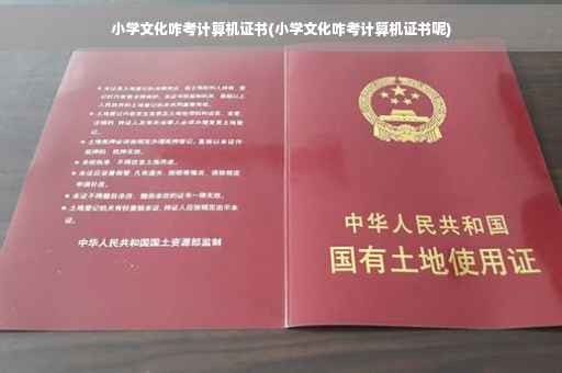 小学文化咋考计算机证书(小学文化咋考计算机证书呢)