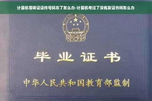 计算机等级证证件号码忘了怎么办-计算机考过了没有发证书吗怎么办