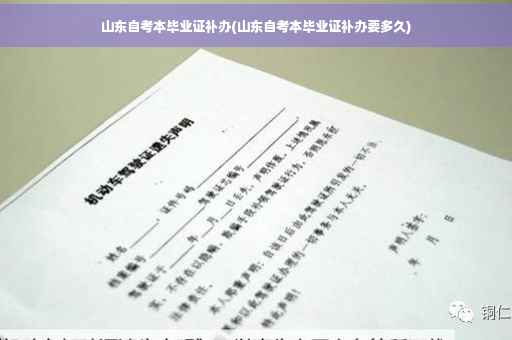 山东自考本毕业证补办(山东自考本毕业证补办要多久)