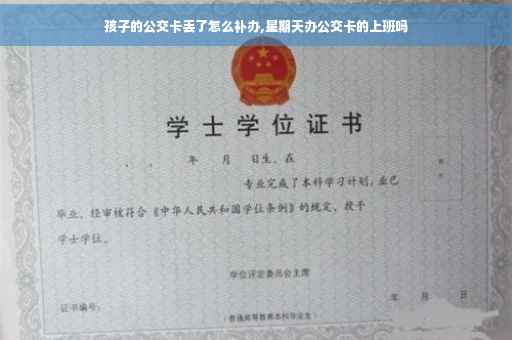 孩子的公交卡丢了怎么补办,星期天办公交卡的上班吗