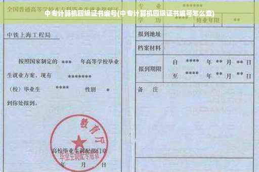 中专计算机四级证书编号(中专计算机四级证书编号怎么查)