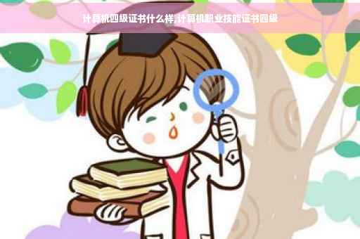 计算机四级证书什么样,计算机职业技能证书四级
