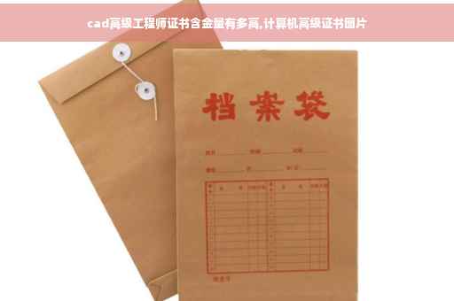 cad高级工程师证书含金量有多高,计算机高级证书图片