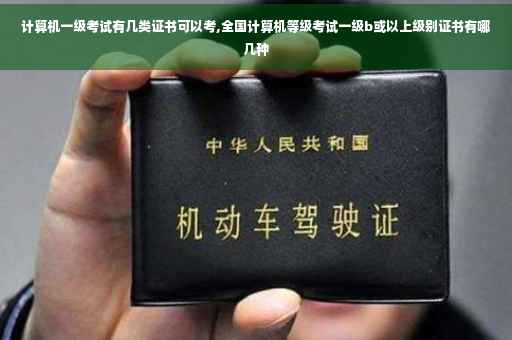 计算机一级考试有几类证书可以考,全国计算机等级考试一级b或以上级别证书有哪几种