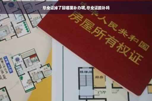 毕业证掉了回哪里补办呢,毕业证能补吗