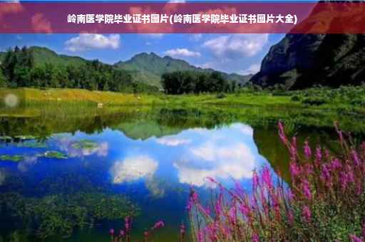 岭南医学院毕业证书图片(岭南医学院毕业证书图片大全)