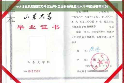 vct计算机应用能力考试证书-全国计算机应用水平考试证书有用吗