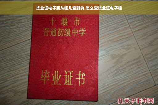 毕业证电子版从哪儿查到的,怎么查毕业证电子档