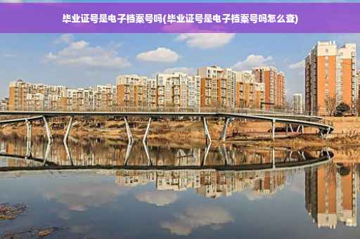 毕业证号是电子档案号吗(毕业证号是电子档案号吗怎么查)
