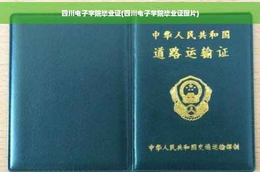 四川电子学院毕业证(四川电子学院毕业证图片)