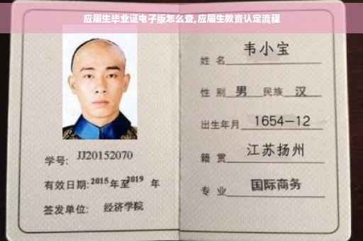 应届生毕业证电子版怎么查,应届生教资认定流程