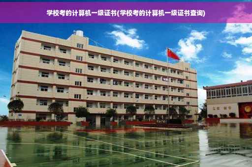 学校考的计算机一级证书(学校考的计算机一级证书查询) 学校考的计算机一级证书(学校考的计算机一级证书查询)
