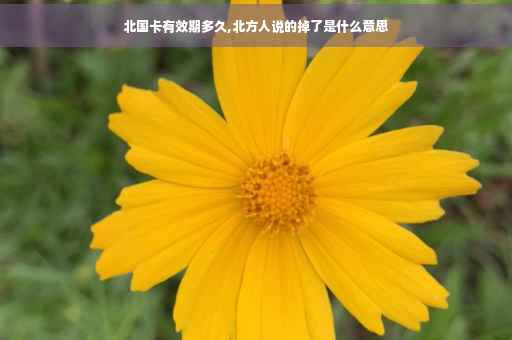 北国卡有效期多久,北方人说的掉了是什么意思