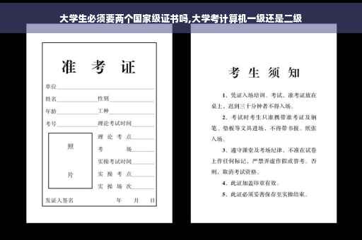 大学生必须要两个国家级证书吗,大学考计算机一级还是二级
