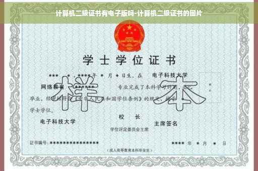 计算机二级证书有电子版吗-计算机二级证书的图片